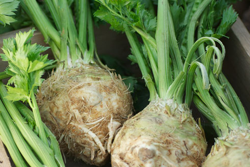 organic-celery-root-from-full-circle_490